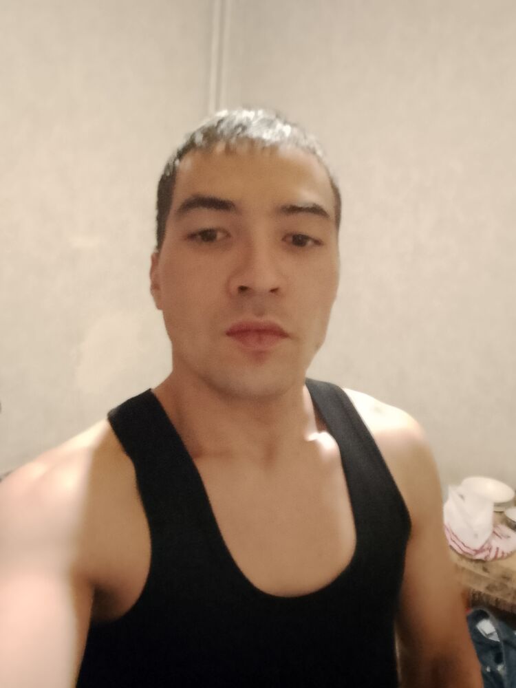  49171121  , 31 ,    