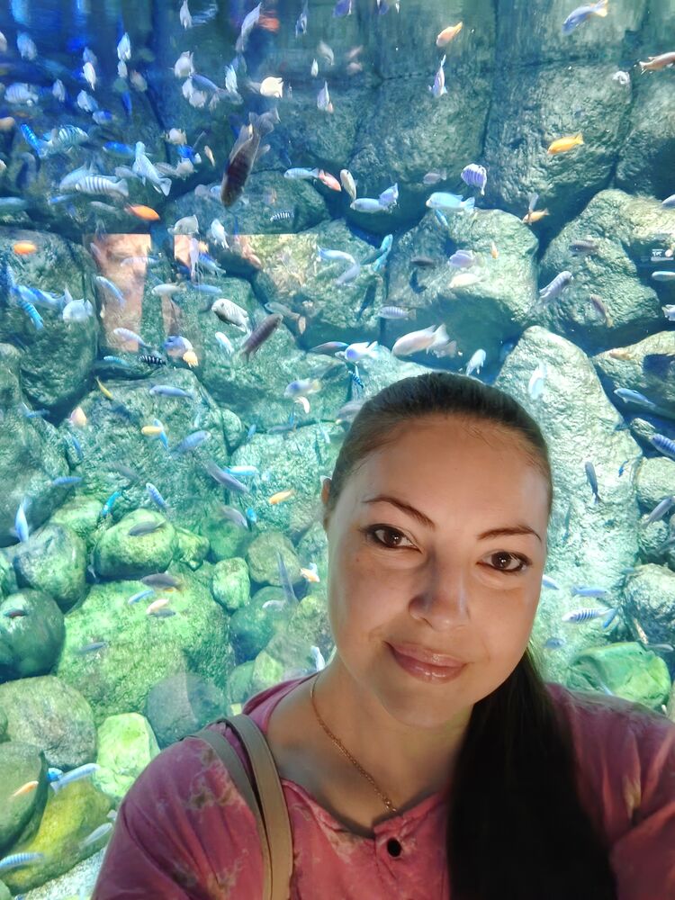  ,   , 38 ,   c 