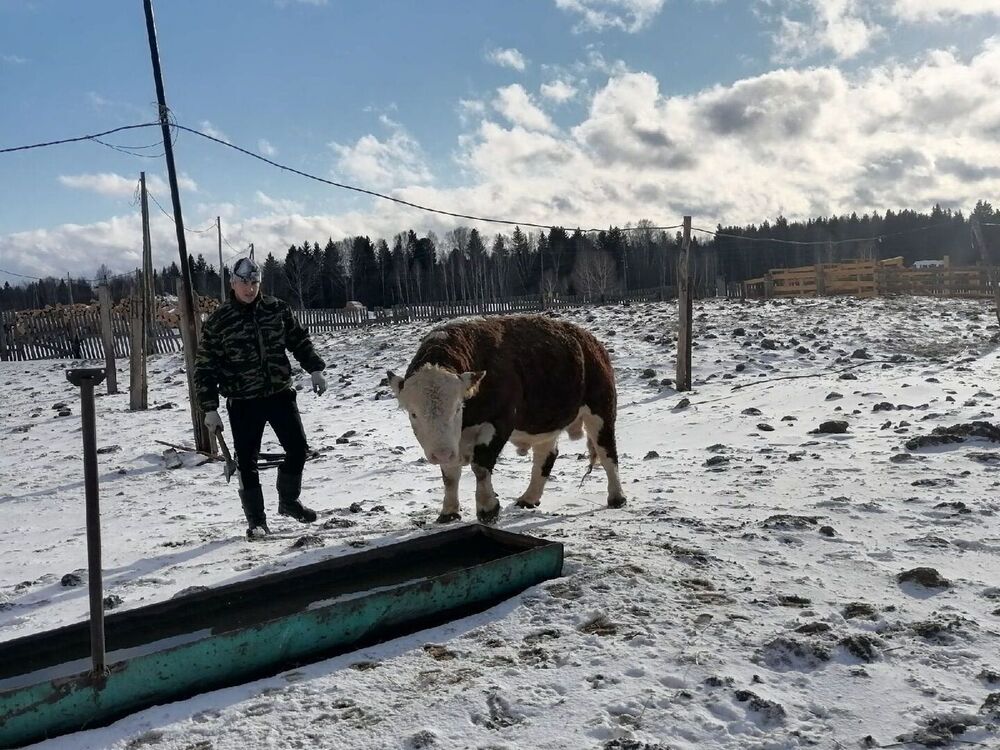 ���������� ����������, ���� ������� Samat, 29 ���, ������������ ��� ������, ����� � ���������, c�������� ���������, ���������