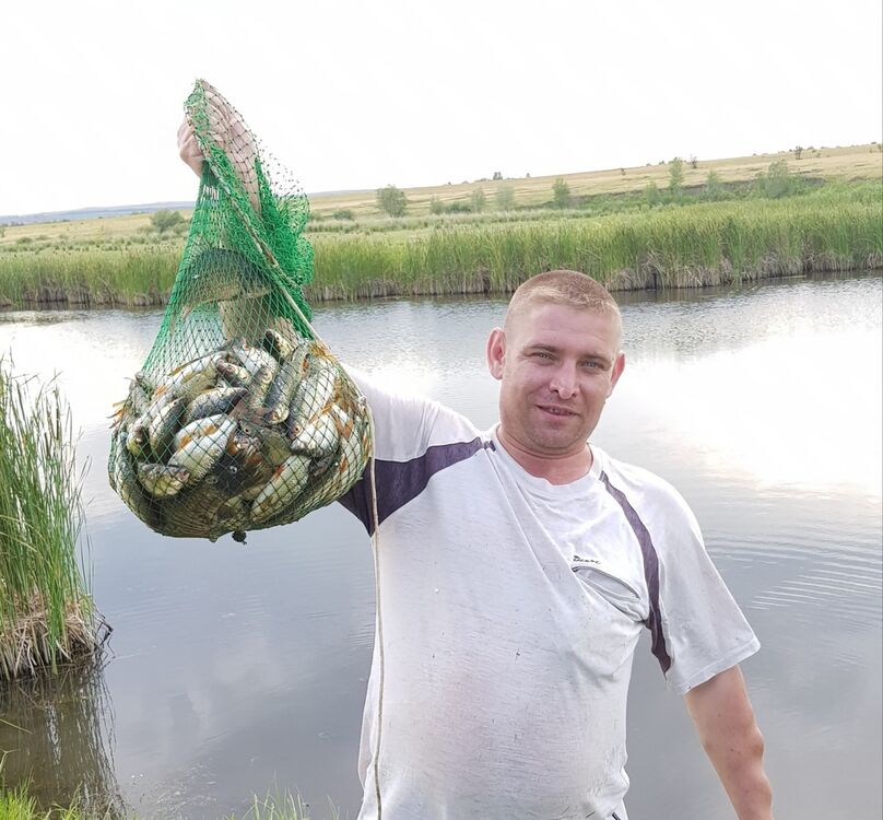  12918661  , 48 ,    -