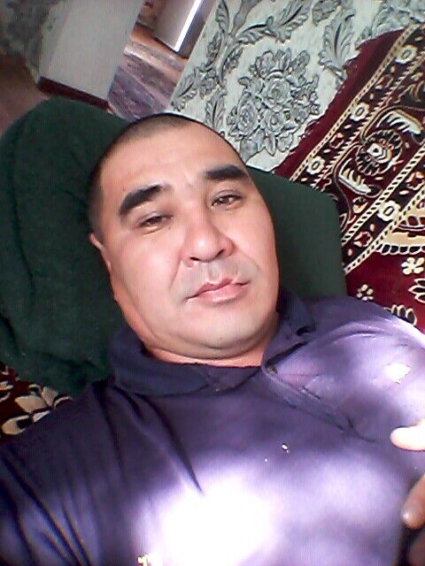  20338691  , 44 ,    