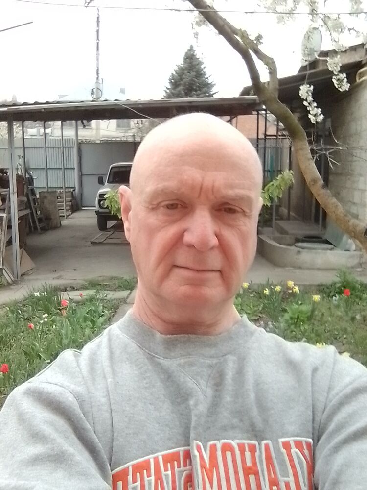  33830051  , 61 ,    