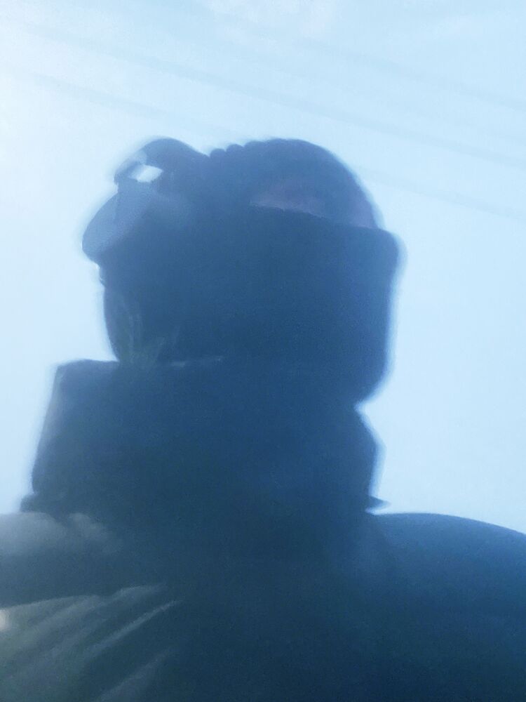 ���� 44108231 ������� Wxxdlyn, 27 ���, ���� ���������� � ������