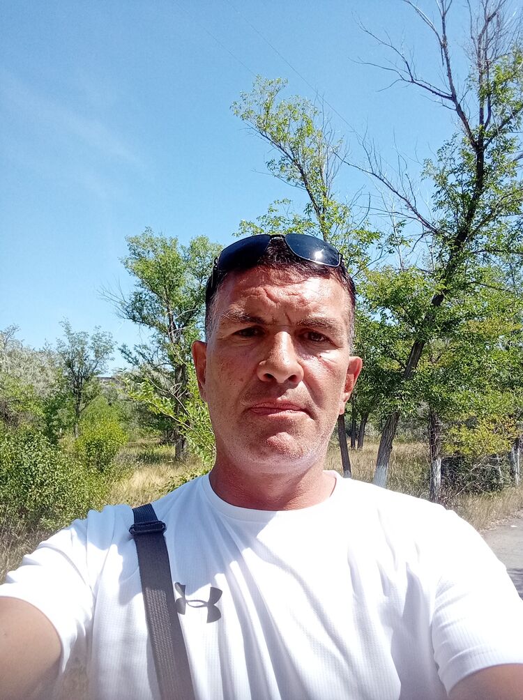  23589541  , 49 ,    