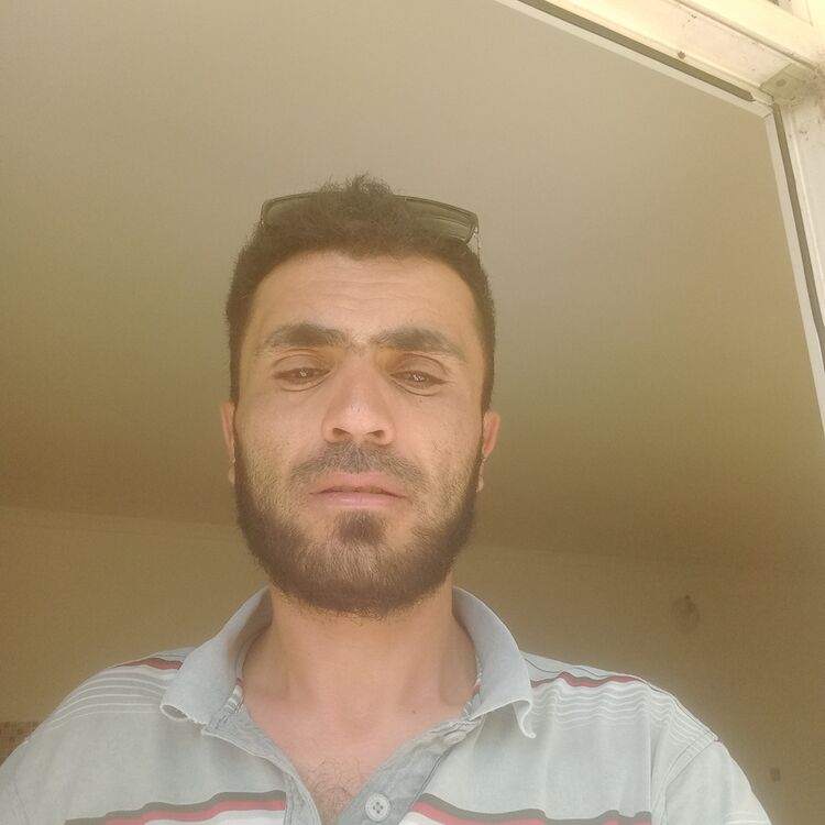 ���������� ������, ���� ������� �������, 40 ���, ������������ ��� ������, ����� � ���������, c�������� ���������