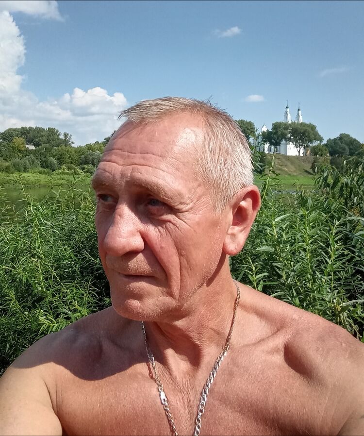  37911511  , 58 ,    