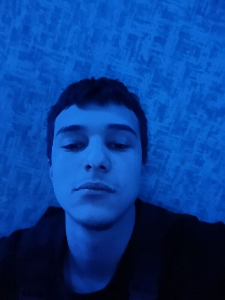  51198501  , 20 ,    