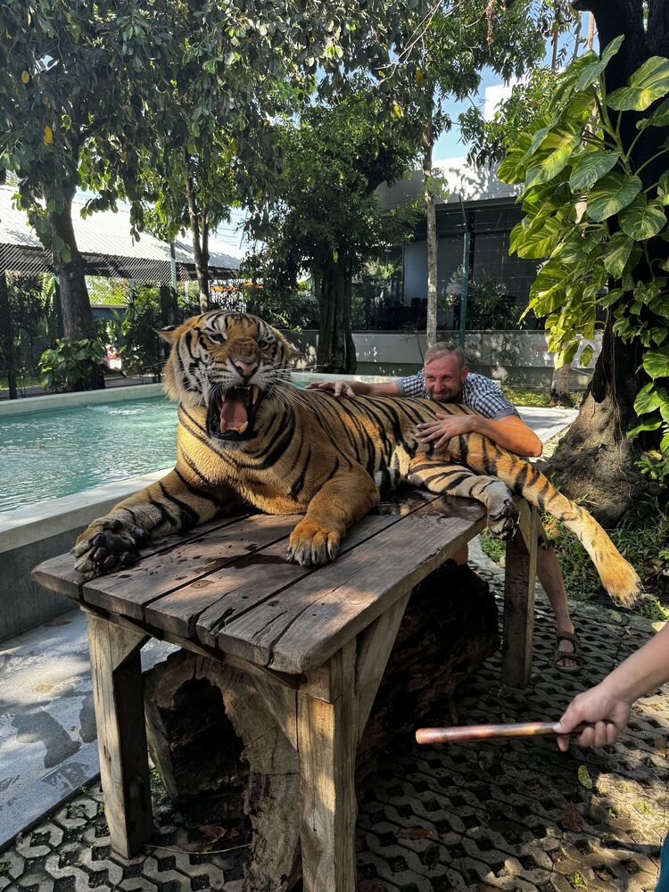 ���������� �������, ���� ������� ���������, 38 ���, ������������ ��� ������, ����� � ���������, c�������� ���������