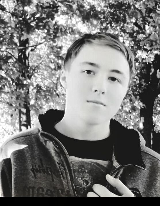 ���� 37831421 ����� ����, 24 ����, ���� ���������� � ��������