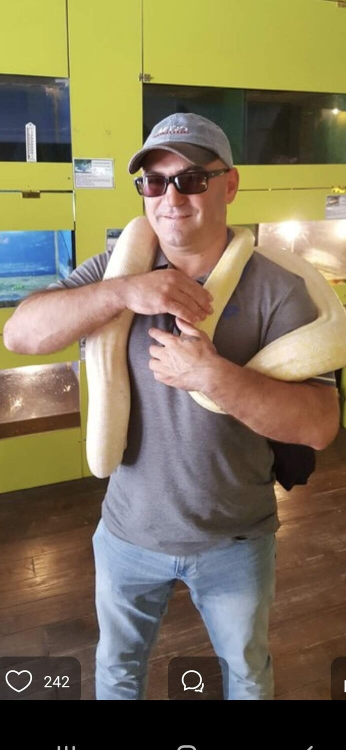 ���� 55038131 ������� Tudor, 53 ����, ���� ���������� � ��������