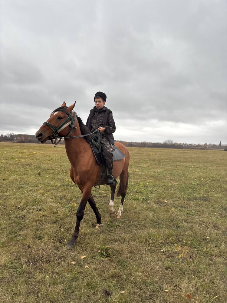 ���� 55448061 ����� Andrey, 18 ���, ���� ���������� � ��������