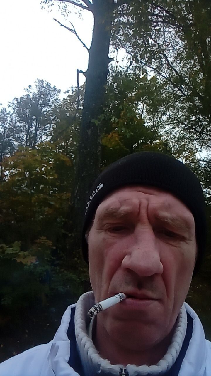  53847581  , 50 ,    