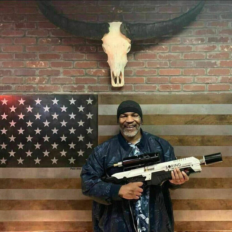  53541641  , 19 ,    Seen (kreis 3) / Waser