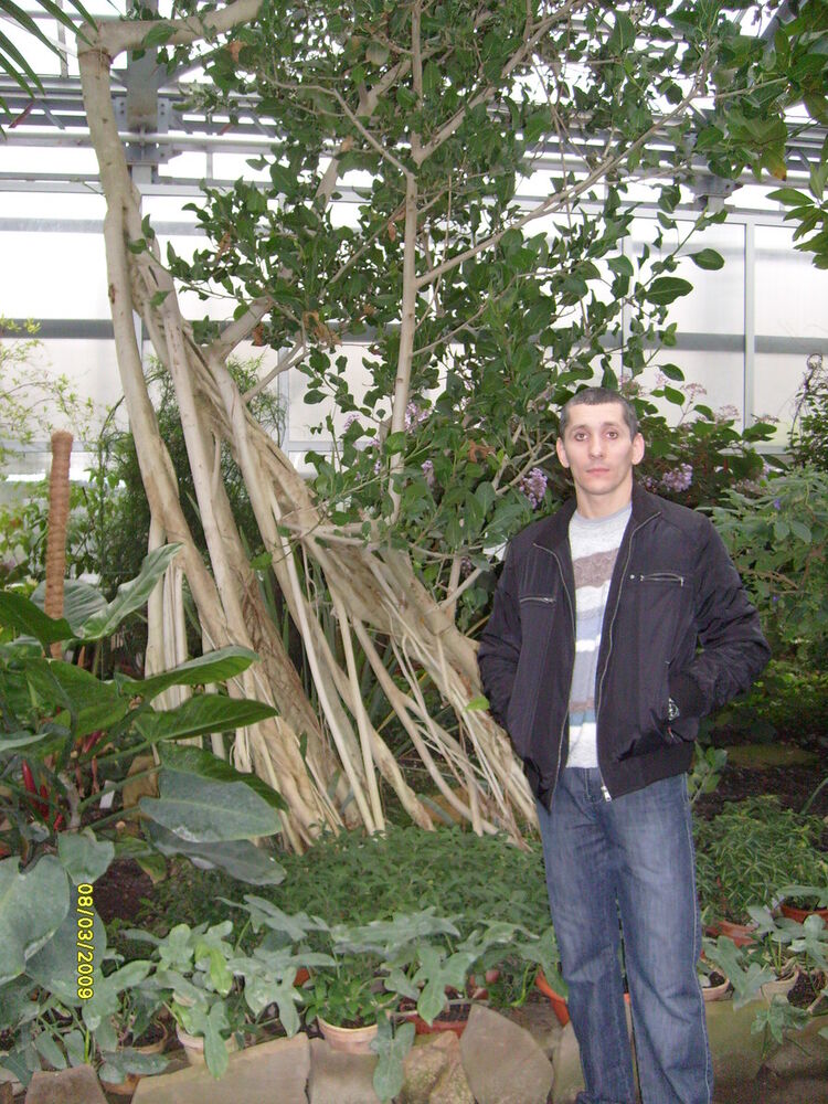 ���������� ������, ���� ������� ���������, 51 ���, ������������ ��� ������