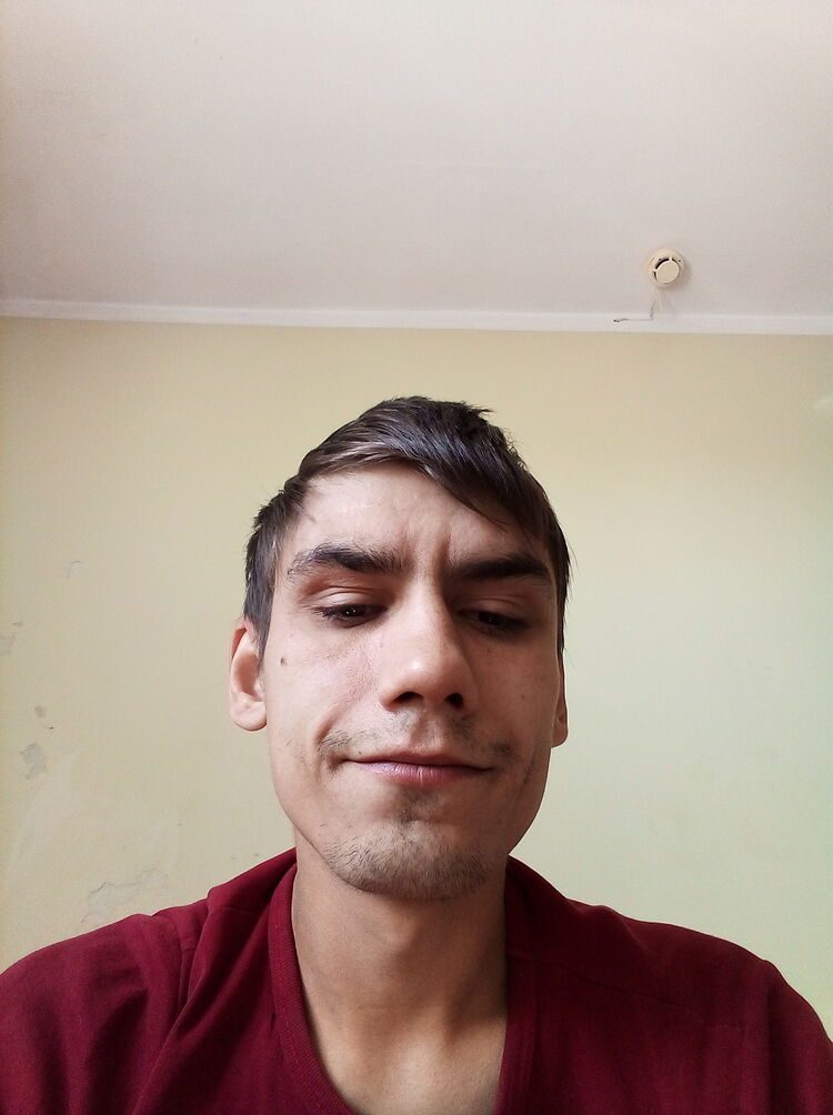  23790341  , 29 ,    