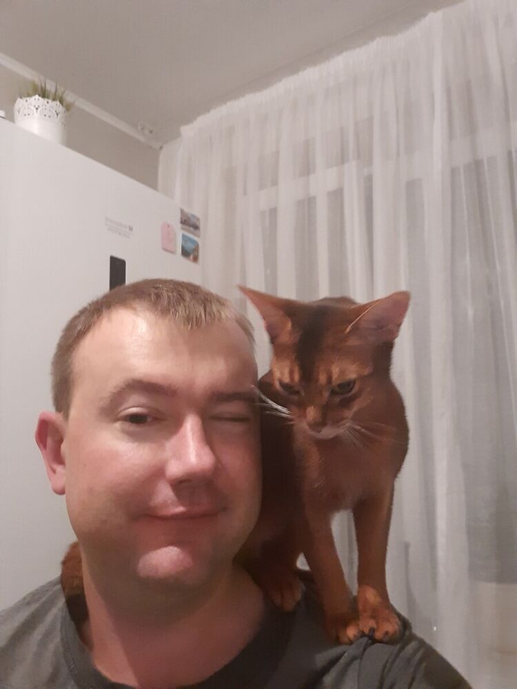 ���������� ������, ���� ������� ����, 44 ����, ������������ ��� ������, ����� � ���������