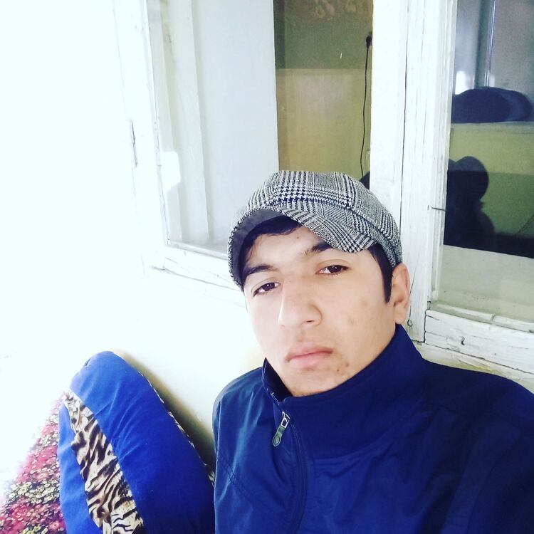  15946211  , 26 ,    