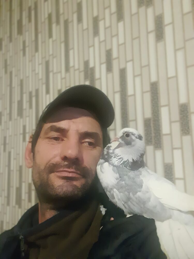  ,    , 47 ,   ,   