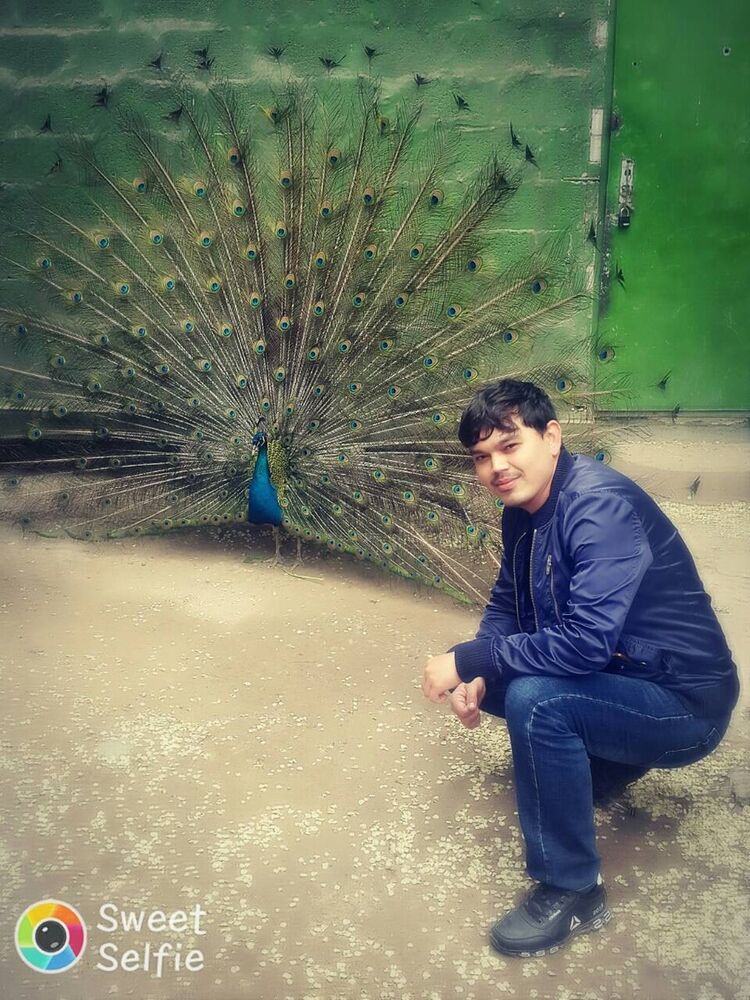 ���� 22309551 ������� ����, 30 ���, ���� ���������� � �������