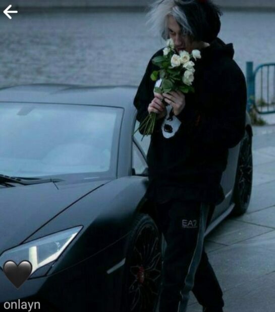 ���������� ������, ���� ����� ���, 23 ����, ������������ ��� ����� � ���������, c�������� ���������