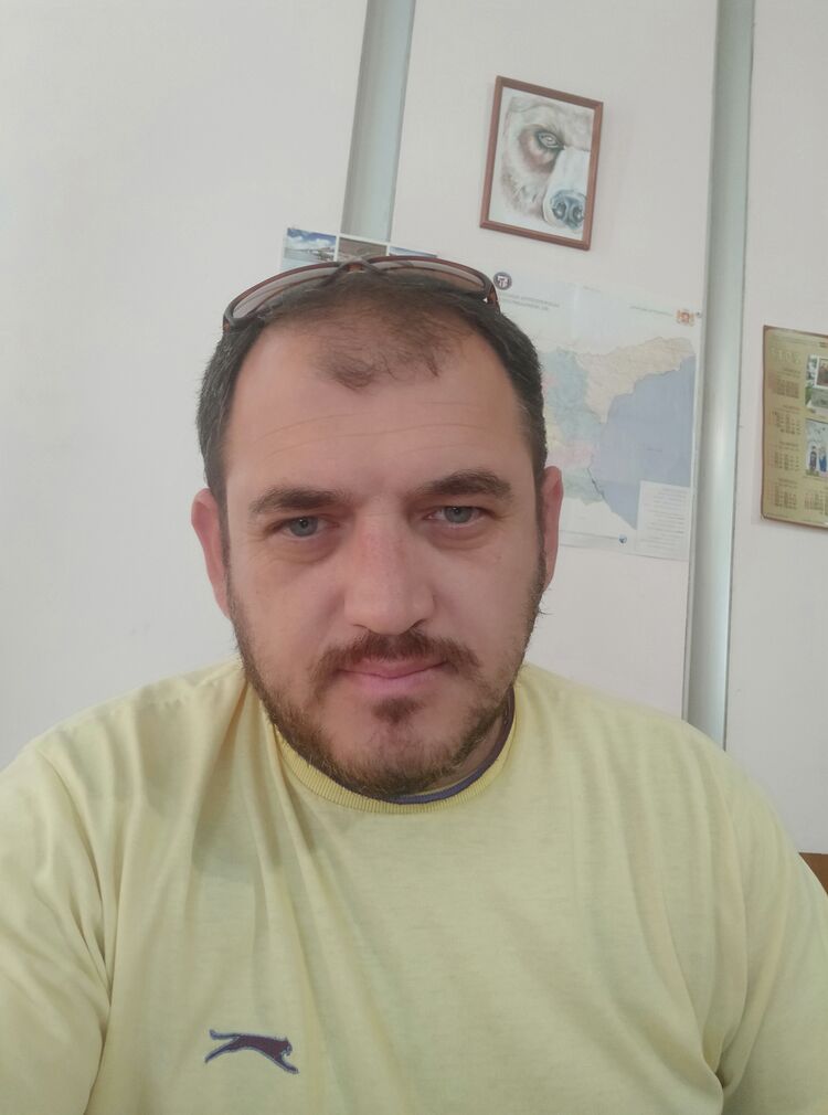 ���������� �������, ���� ������� David, 41 ���, ������������ ��� ������, ����� � ���������