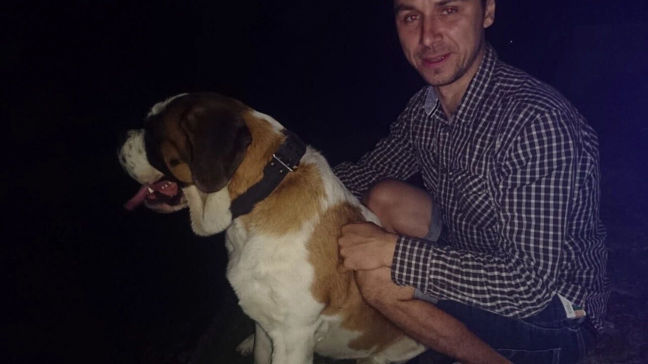 ���������� �����, ���� ������� �������, 39 ���, ������������ ��� ������, ����� � ���������, c�������� ���������