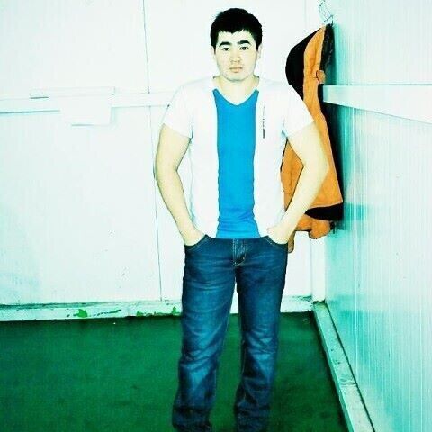 ���������� ���������, ���� ������� TALANT, 36 ���, ������������ ��� ������, ����� � ���������