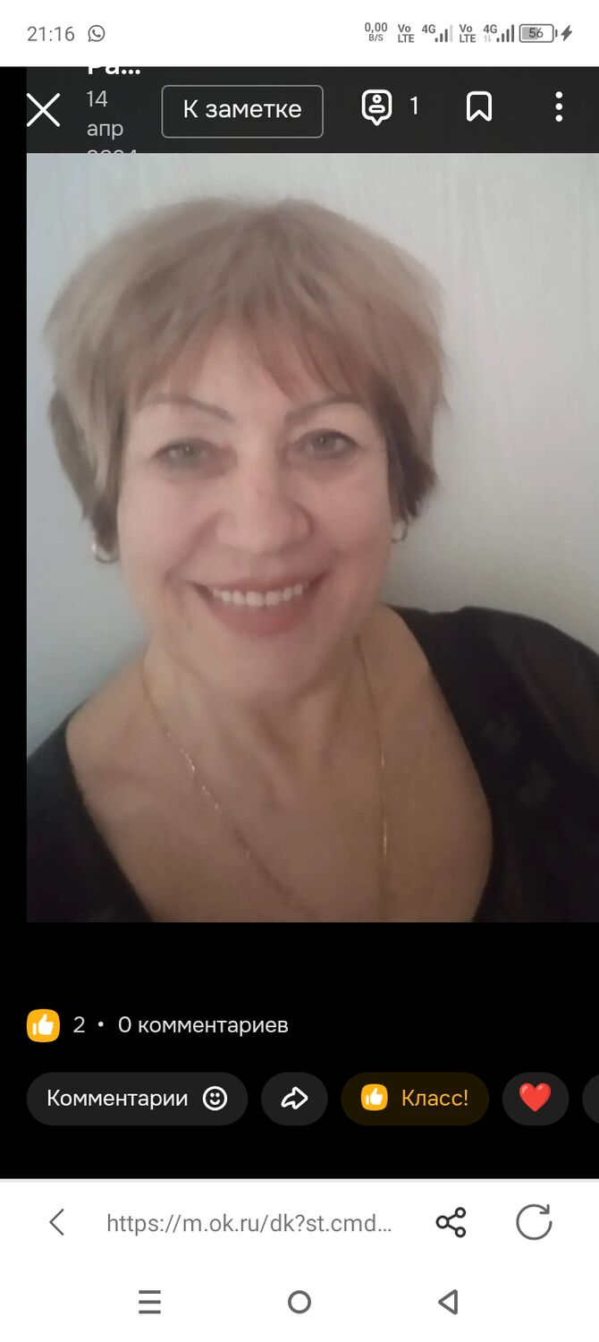  53985671  , 55 ,    -