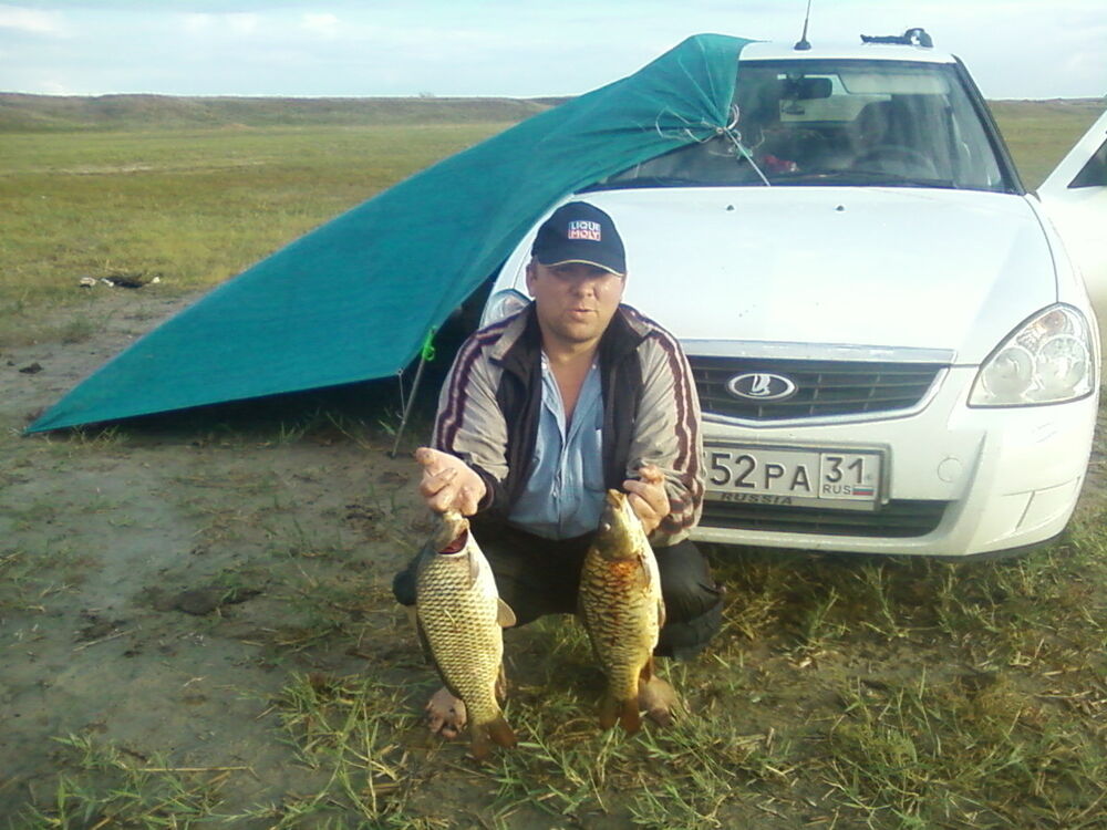 ���� 4252531 ������� ����������, 46 ���, ���� ���������� � ���������