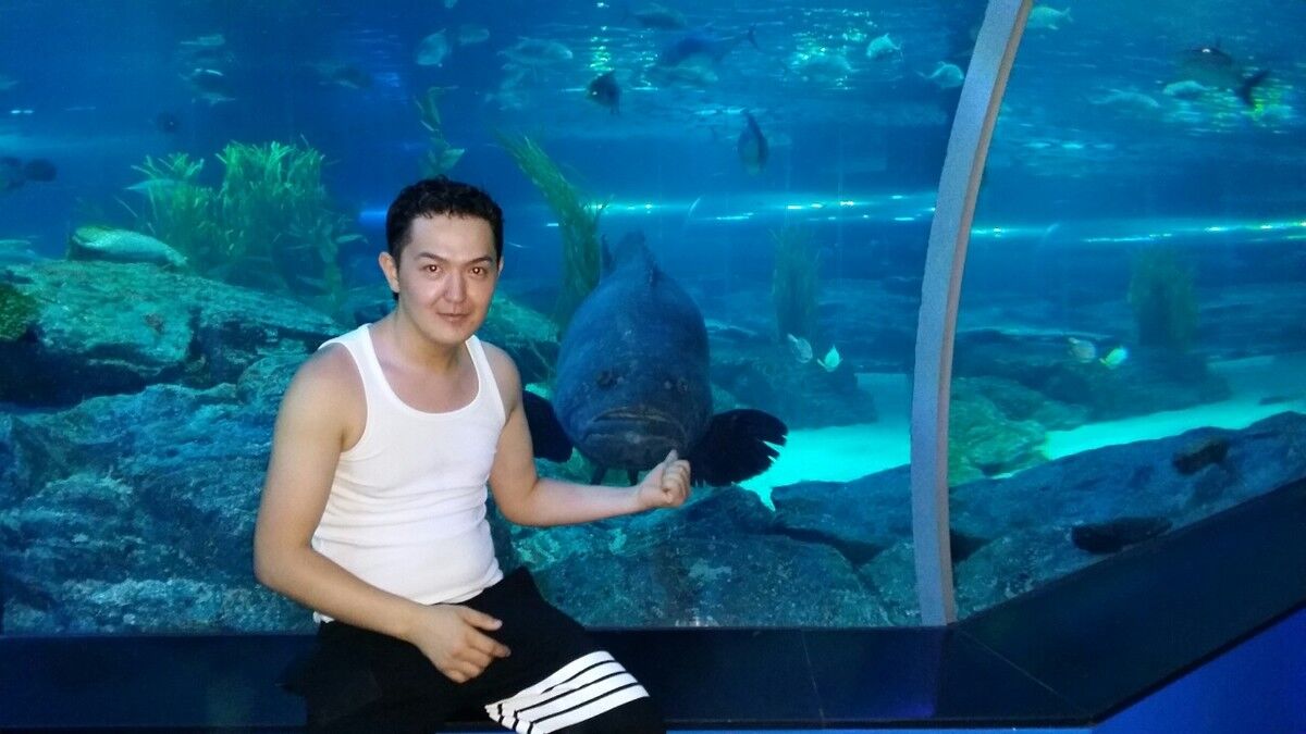  Ulsan,   , 37 ,   