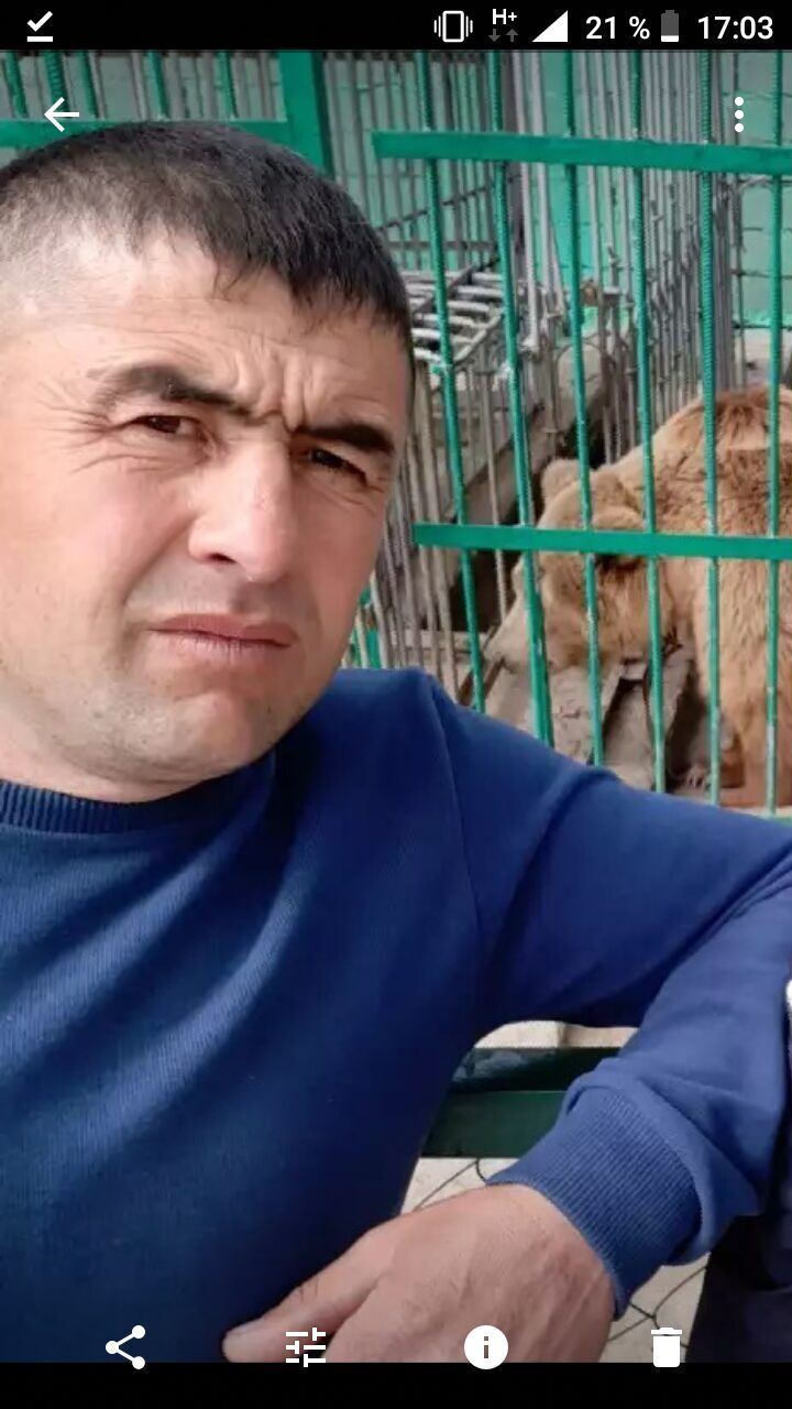  42110731  , 31 ,    