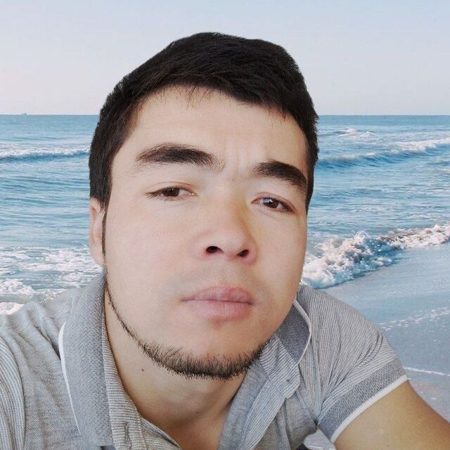  49829331  , 32 ,    