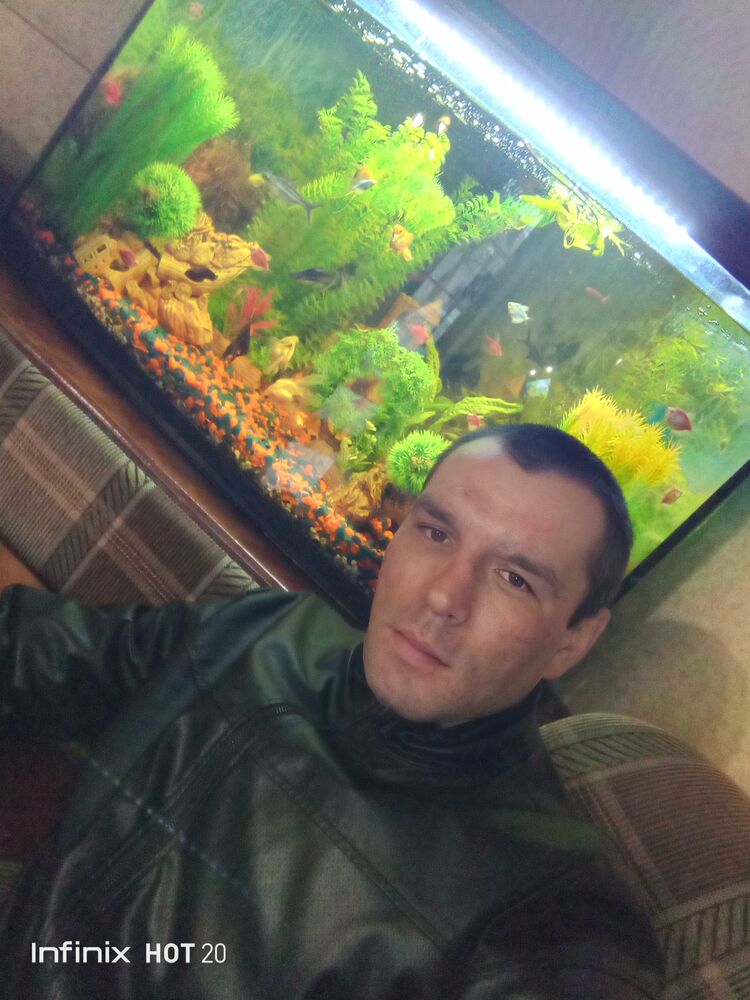  41527381  , 30 ,    -
