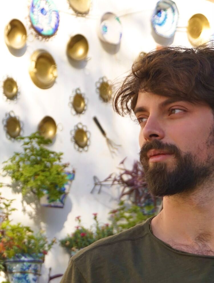 ���� 55646421 ������� ������, 33 ����, ���� ���������� � ������