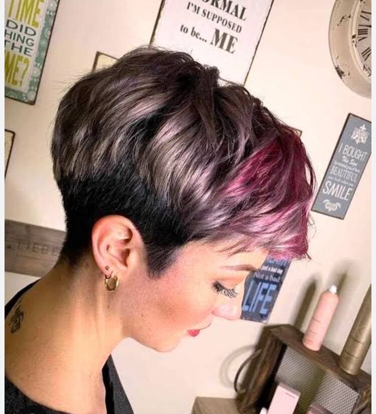 ���� 55588761 ������� ������, 47 ���, ���� ���������� � �����-����������