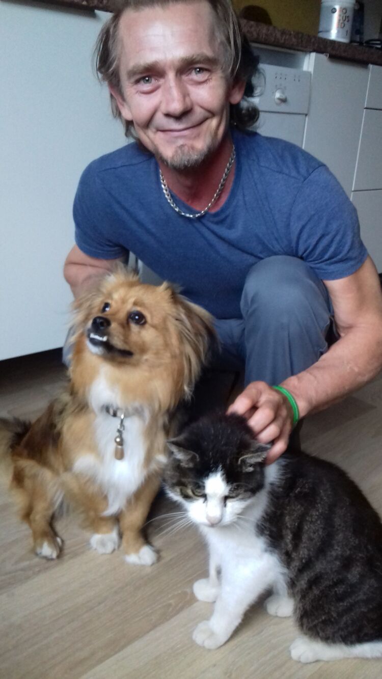  54234331   , 53 ,    Targu-Mures