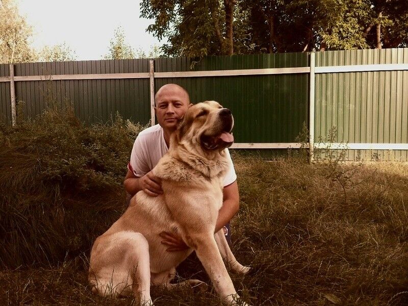 ���������� �����, ���� ������� ����, 52 ����, ������������ ��� ������, ����� � ���������, c�������� ���������