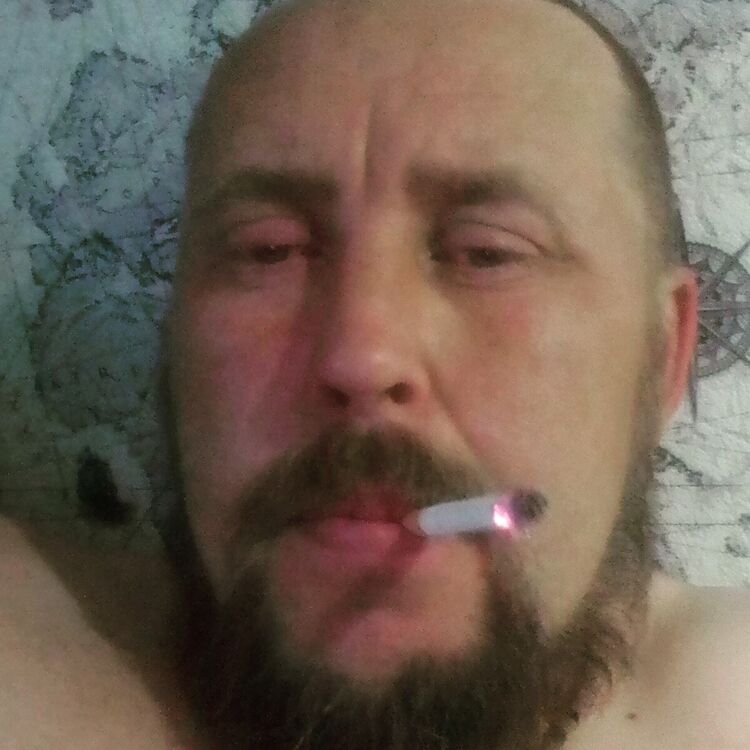 20583131  , 44 ,    