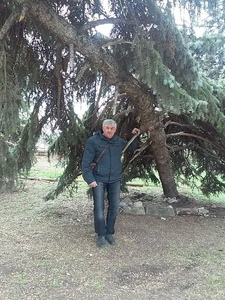  ,   , 61 ,  