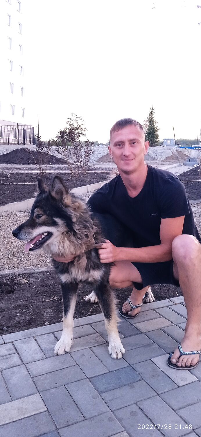 ���������� �����������, ���� ������� ������, 36 ���, ������������ ��� ������, ����� � ���������, c�������� ���������, ���������