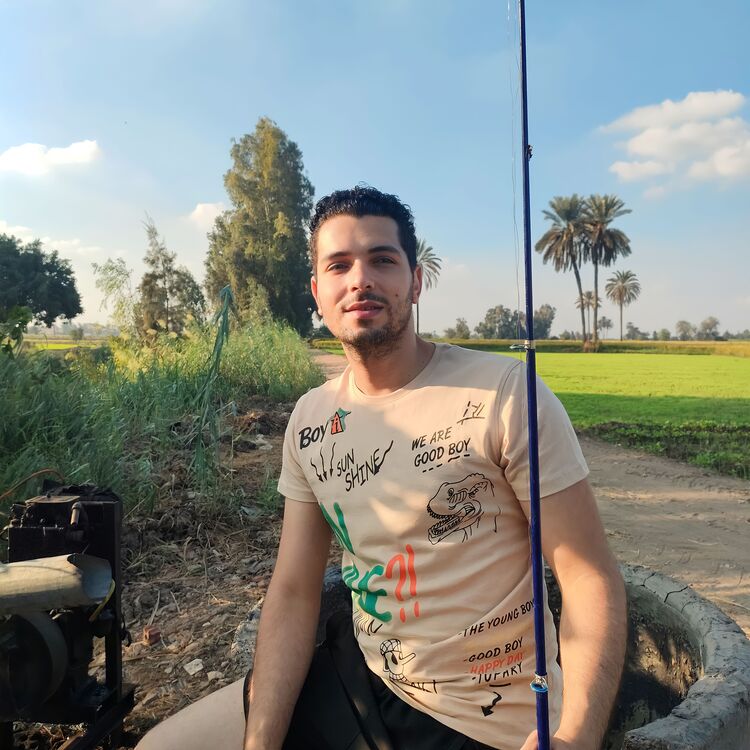 ���� 39411381 ������� �������, 29 ���, ���� ���������� � ������