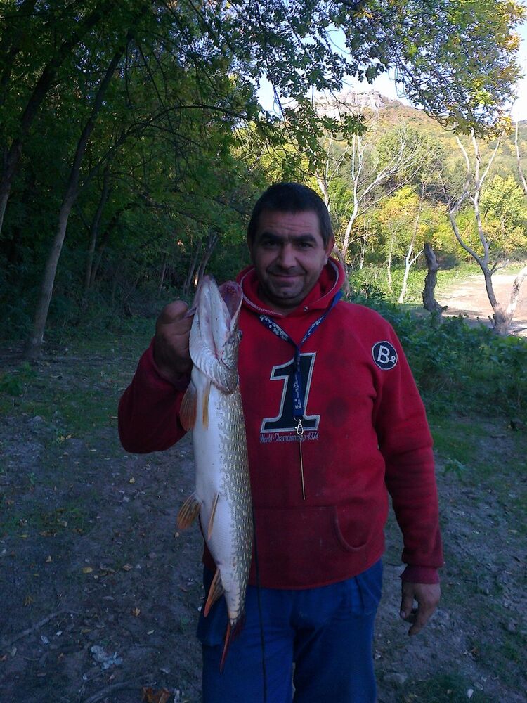  Pleven,   Ivailo, 45 ,   ,   , c 