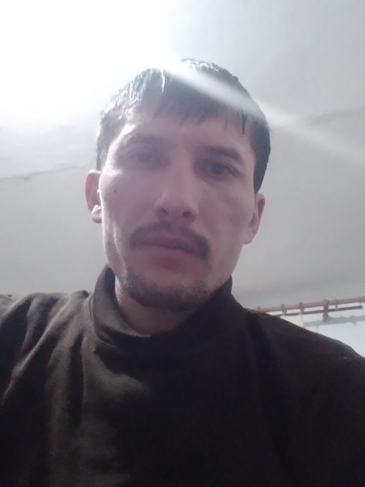  24489231  , 32 ,    