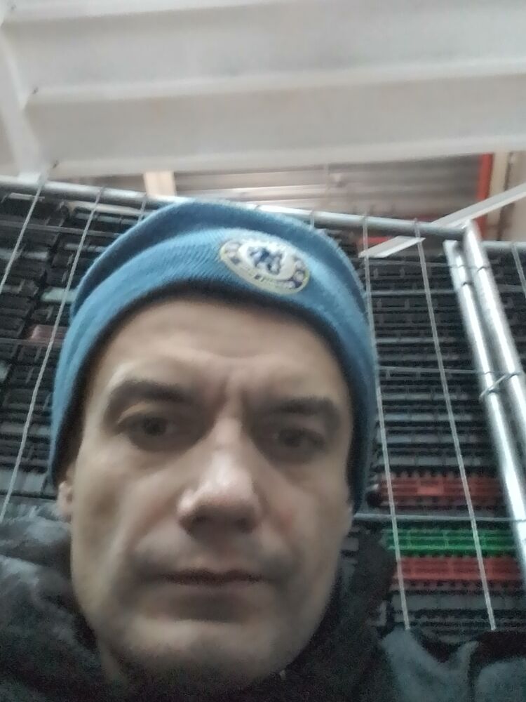  39615911  , 40 ,    