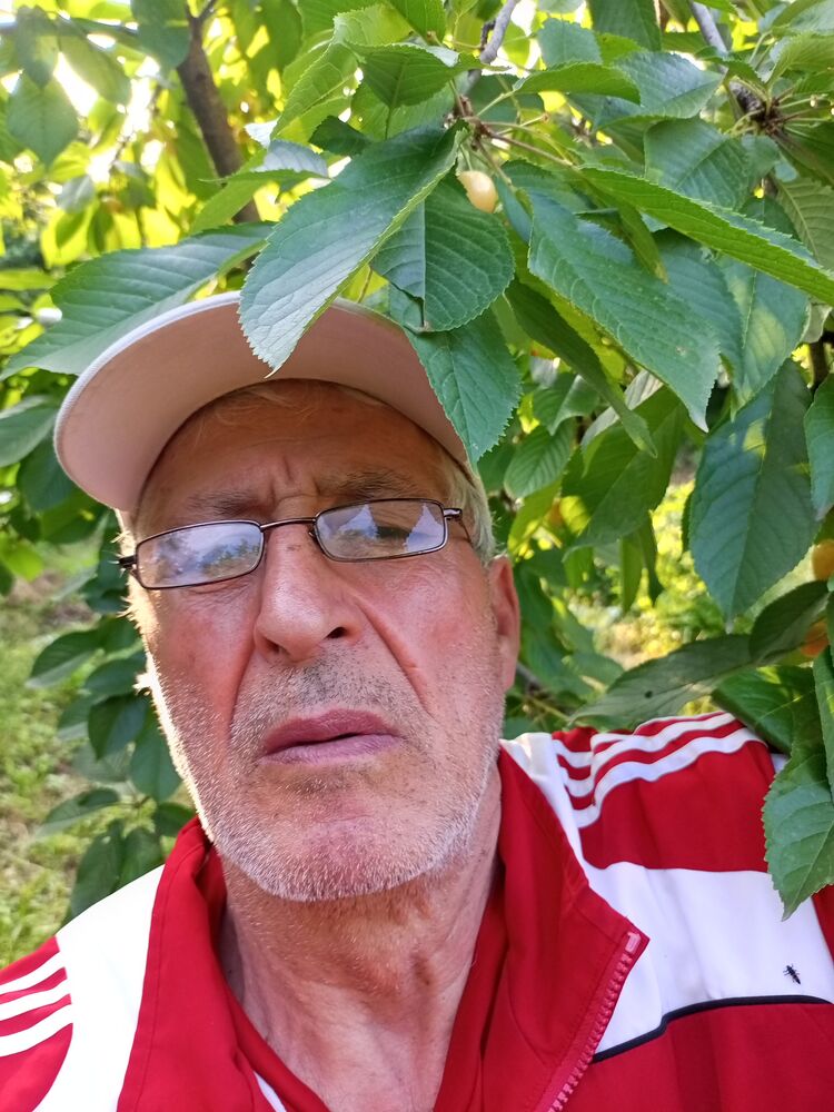 ���������� ���������, ���� ������� �����, 62 ����, ������������ ��� ������, ����� � ���������, c�������� ���������