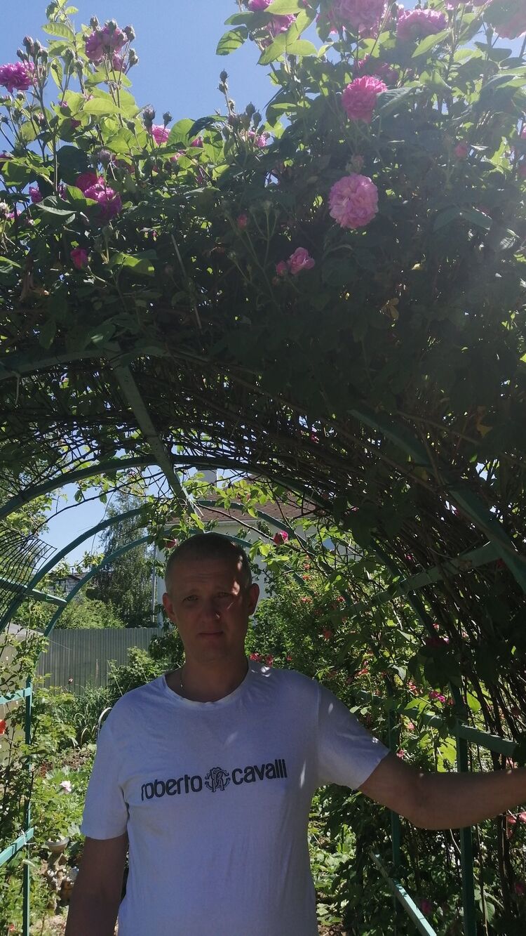 ���� 25329631 ������� ����, 42 ����, ���� ���������� � ����� �������