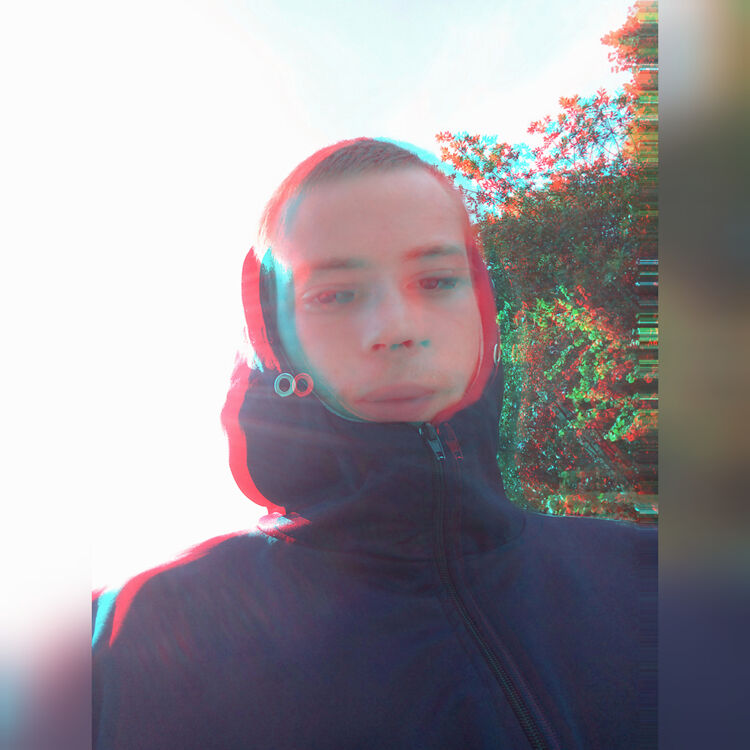 28278871  , 24 ,    