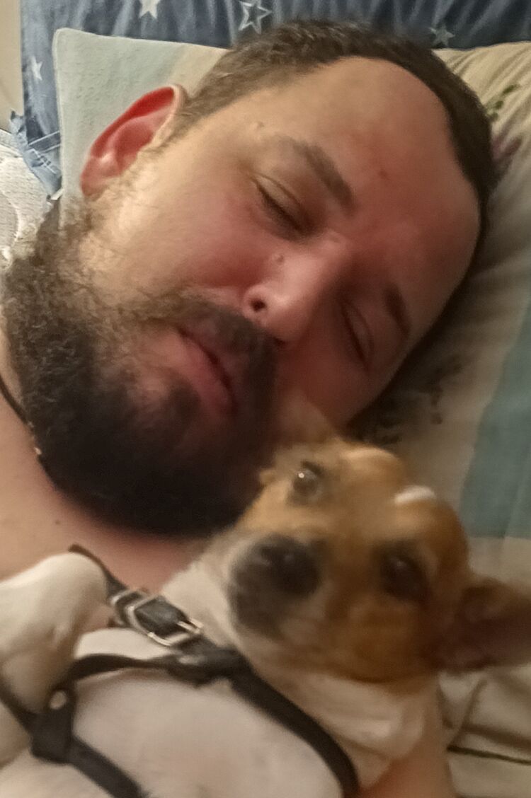 ���� 52262071 ������� ����, 32 ����, ���� ���������� � ���������