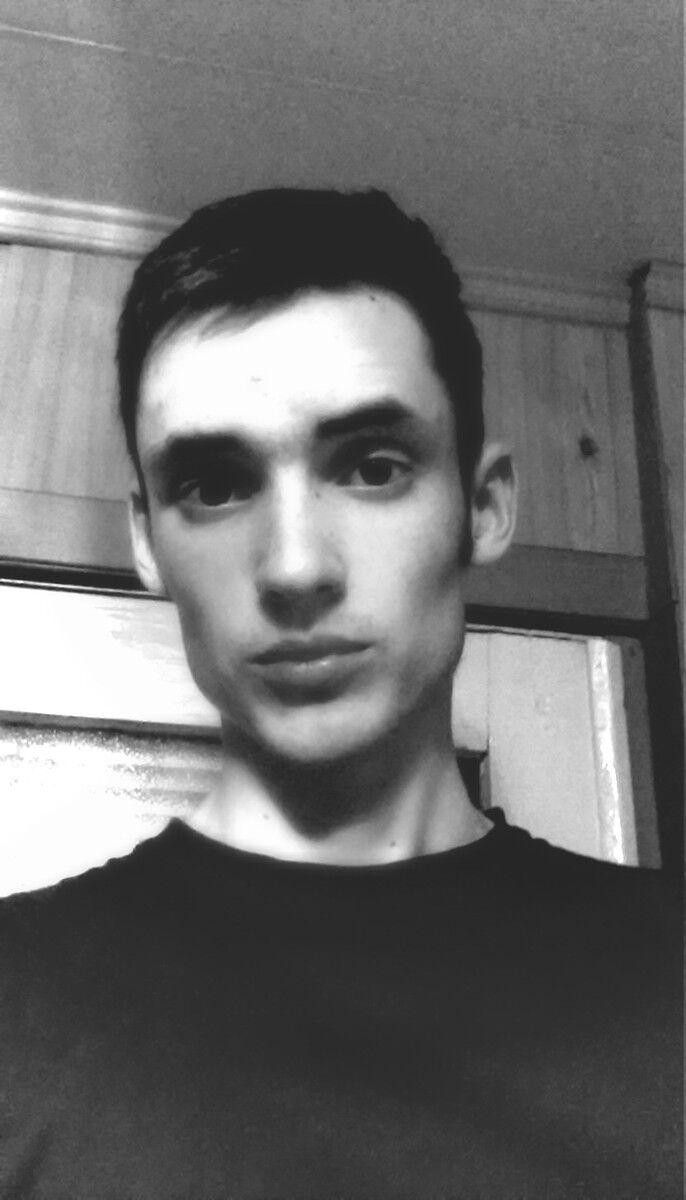  6678781  , 31 ,    