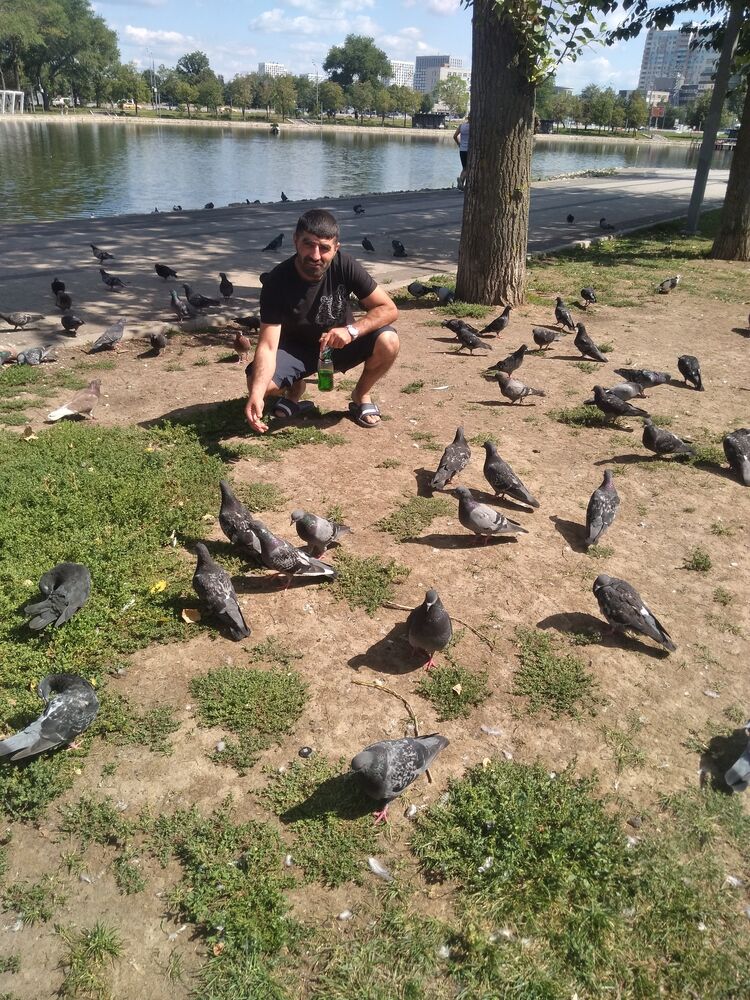 ���� 45195531 ������� �����, 39 ���, ���� ���������� � ������